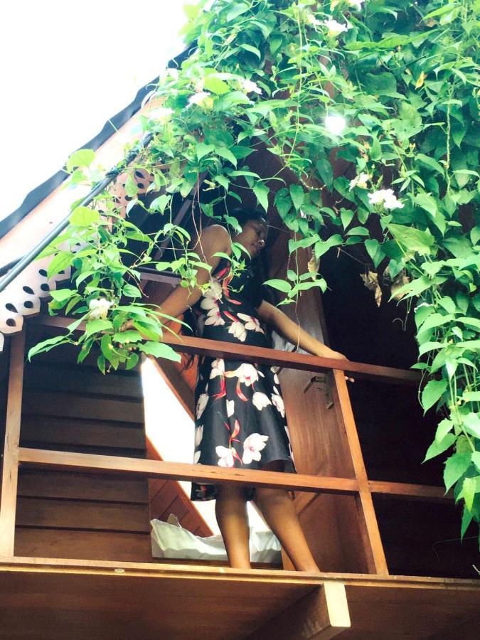 Sky View Cabin 乌纳瓦图纳 外观 照片